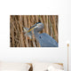 Great Blue Heron Ardea Wall Mural