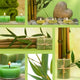 Collage Green Wellness Motives