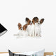 Papillon dog puppies Wall Decal