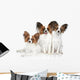 Papillon dog puppies Wall Decal
