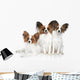 Papillon dog puppies Wall Decal