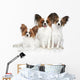 Papillon dog puppies Wall Decal