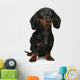 Mini Dachshund Portrait White Wall Decal