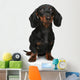 Mini Dachshund Portrait White Wall Decal