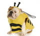 Dog Dressed up Like a Bee Wall Decal