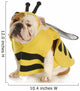 Dog Dressed up Like a Bee Wall Decal