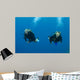 Blond Female Scuba Divers Wall Mural