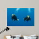 Blond Female Scuba Divers Wall Mural