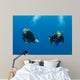 Blond Female Scuba Divers Wall Mural