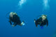Blond Female Scuba Divers Wall Mural