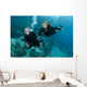 Female Scuba Divers Wall Mural