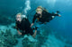 Female Scuba Divers Wall Mural