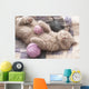 British Kitten Sleeping