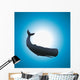Sperm Whale