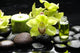 Oriental Spa with Orchid