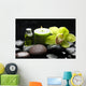 Oriental Spa with Orchid Wall Mural