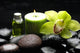 Oriental Spa with Orchid Wall Mural