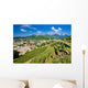 grand cru vineyard, Thann, Alsace, France Wall Mural