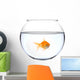 a golden fish in a bowl Wall Decal