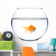 a golden fish in a bowl Wall Decal