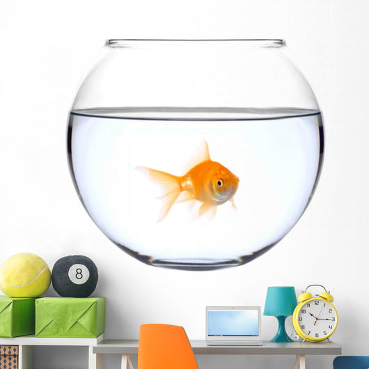 a golden fish in a bowl Wall Decal