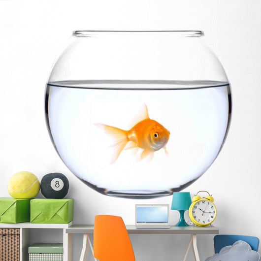 a golden fish in a bowl Wall Decal