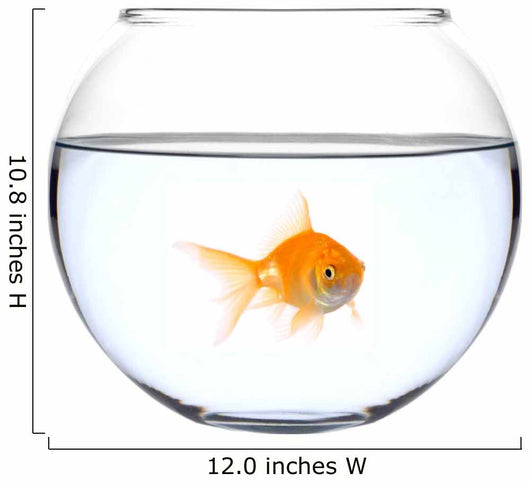 a golden fish in a bowl Wall Decal