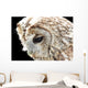 Eule 3 Wall Mural