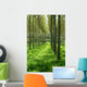 peupliers Wall Mural