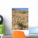 Plant Arid Soil Wall Decal