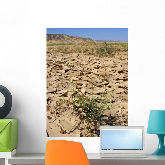 Plant Arid Soil Wall Decal