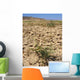Plant Arid Soil Wall Decal