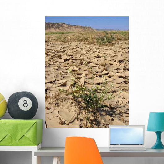 Plant Arid Soil Wall Decal