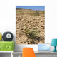 Plant Arid Soil Wall Decal