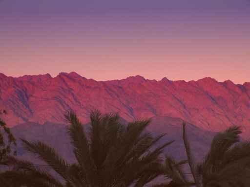 Sinai Desert Wall Decal