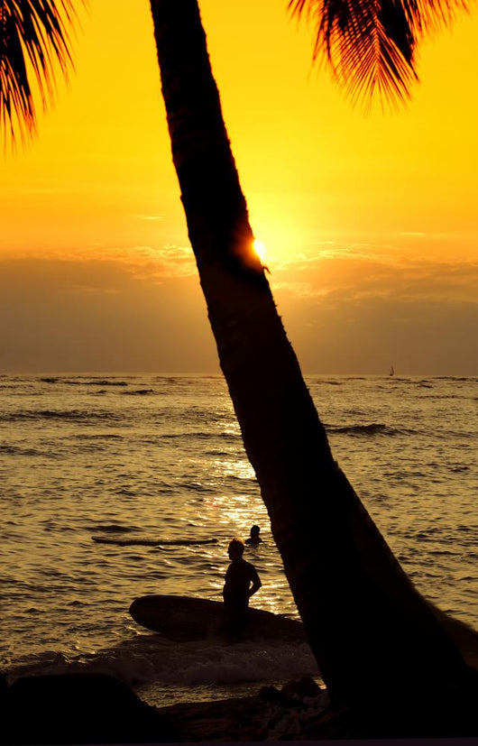 Sunset Beach Wall Mural
