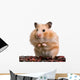 Hamster Wall Decal