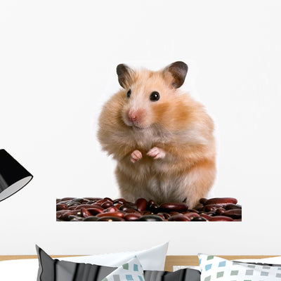Hamster Wall Decal shown on a wall