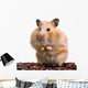 Hamster Wall Decal