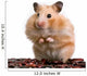 Hamster Wall Decal