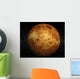Venus Wall Mural