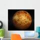 Venus Wall Mural