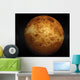 Venus Wall Mural