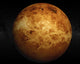 Venus Wall Mural