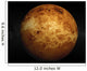 Venus Wall Mural