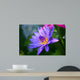 Violet Lotus