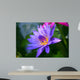 Violet Lotus