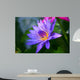 Violet Lotus