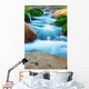Mountain Stream