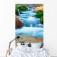 Mountain Stream